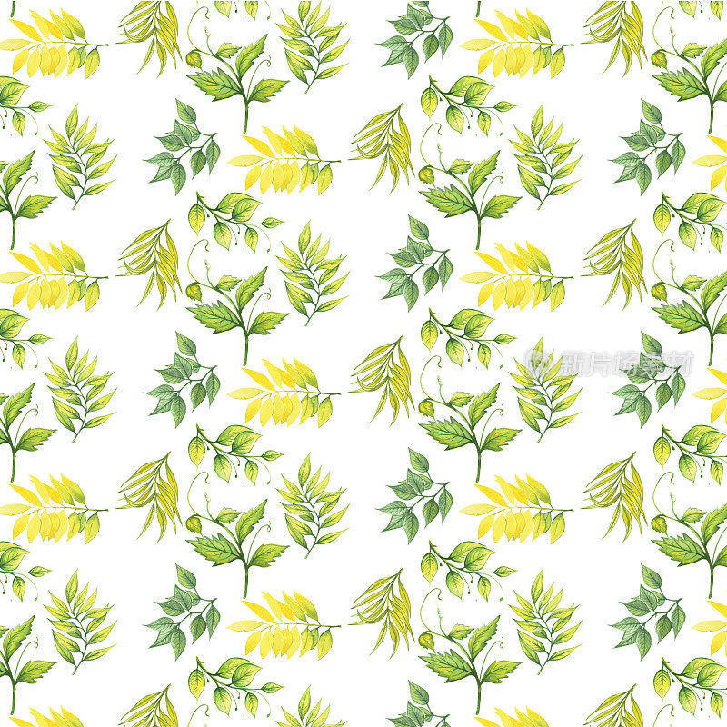 Beautiful seamless vector water color Leaf pattern, spring summer background, jungle leaf, Exotic wallpaper,